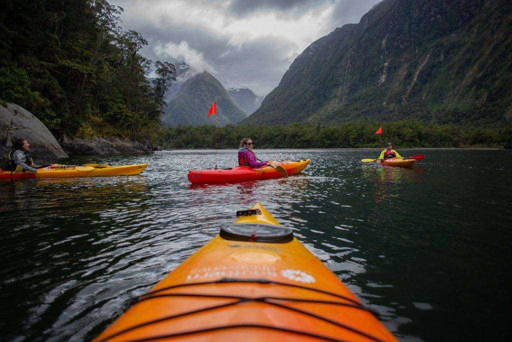 Kayaking in Harrison Cove, Milford Sound
