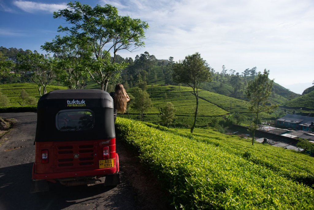 Driving our tuk tuk around the tea plantations near Haputale!