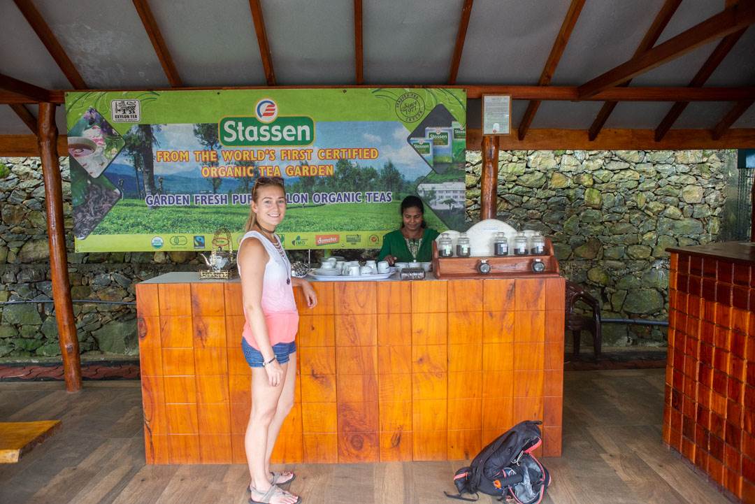 Bailey sampling tea at Stasson Organic Tea Farm