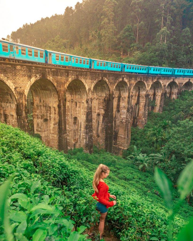 Bailey standing in the tea fields near Nine Arch Bridge, Ella, Sri Lanka
