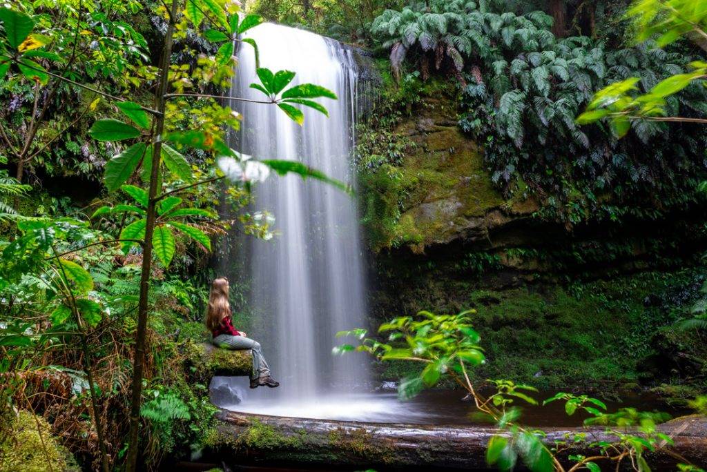The Catlins is one of the best places to visit on the south Island!