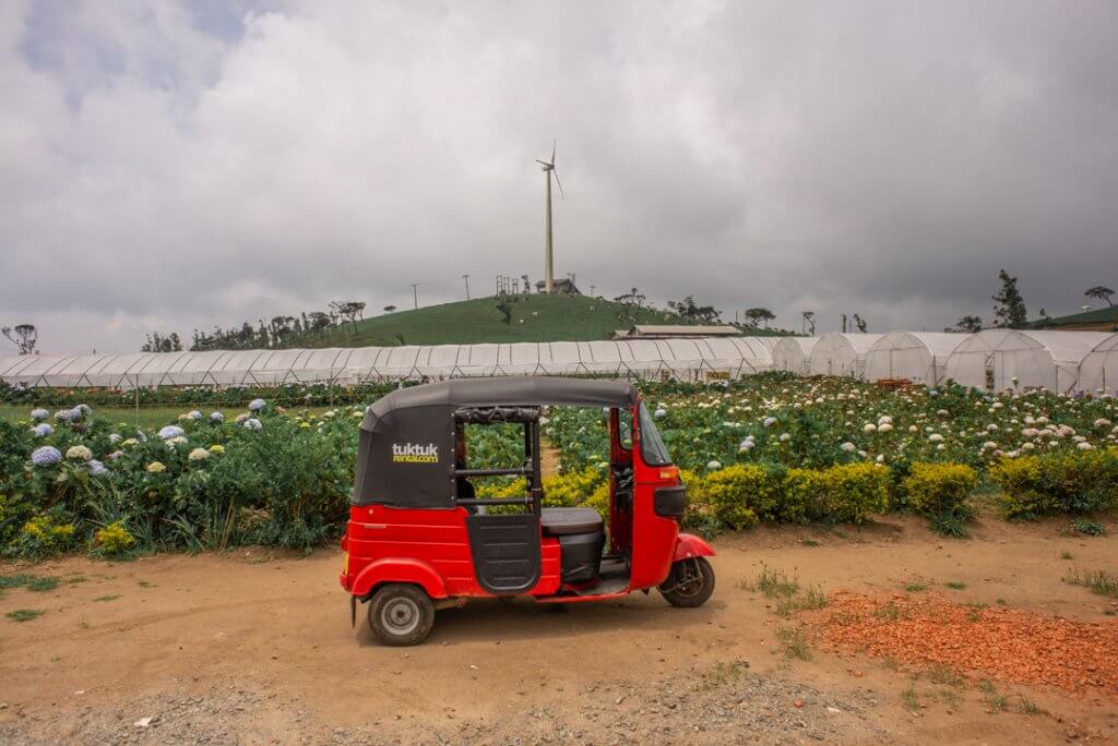 Te truth about renting a tuk tuk!