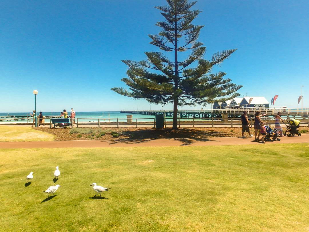 The jetty on your day trips from Perth