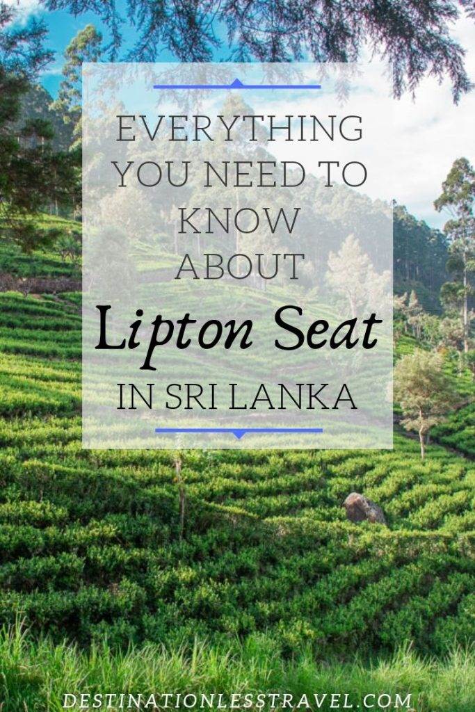 Lipton Seat Sri Lanka Pin