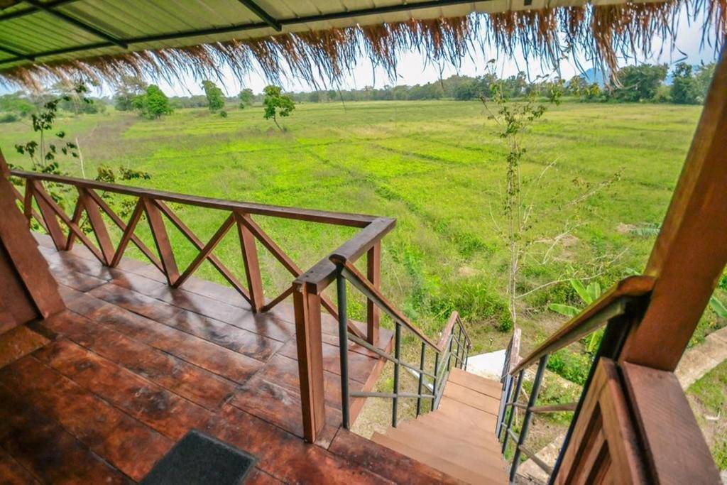 A tree house in Sigiriya