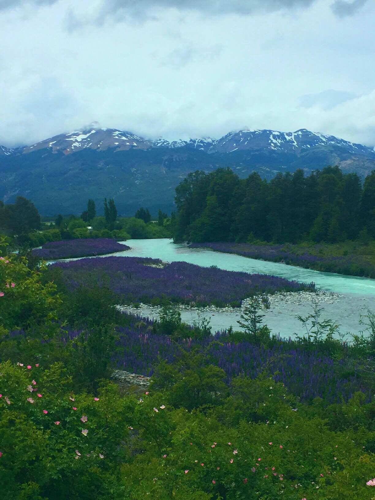 beautiful views along the way to the marble caves, Patagonia