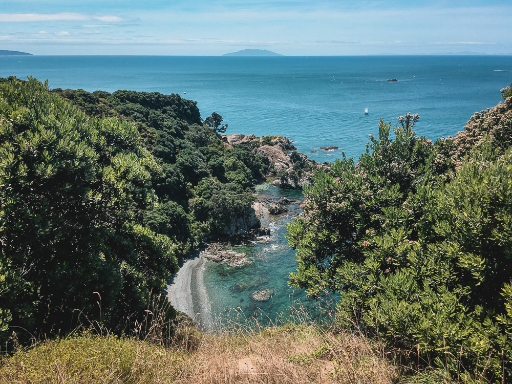 Tiritiri Matangi Island wildlife sanctuary 