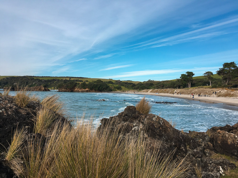 Tawharanui Regional Park, Auckland, New Zealand