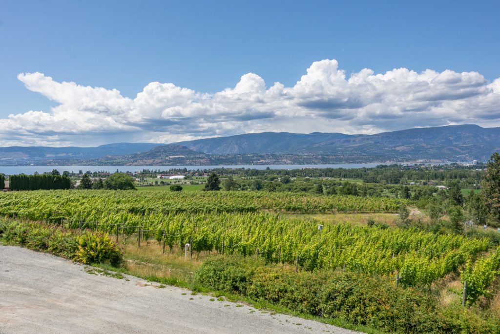 Wineries in Kelowna BC