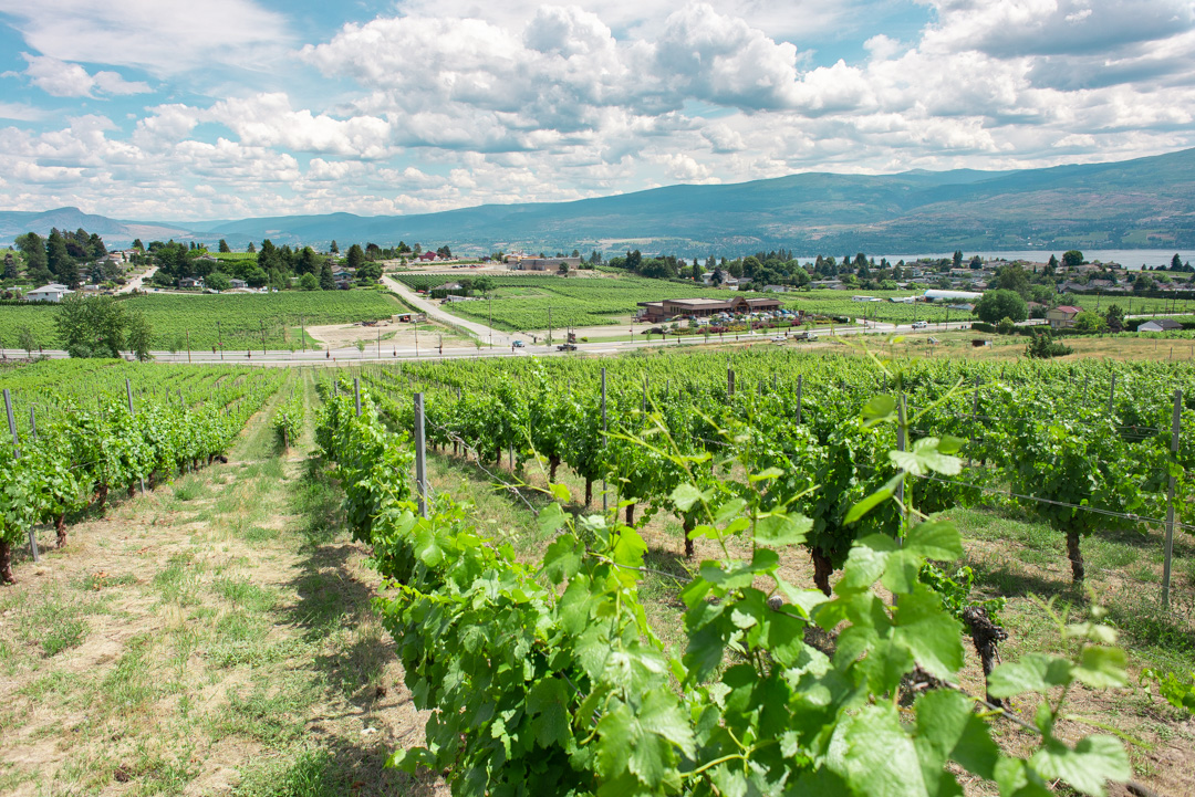 Things to do in Kelowna