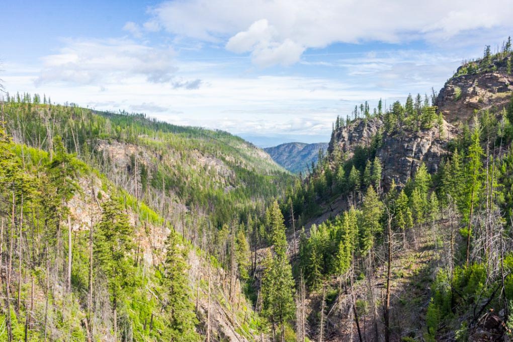 Views of the Myra Canyon in Kelowna BC while enjoying a summer bike ride