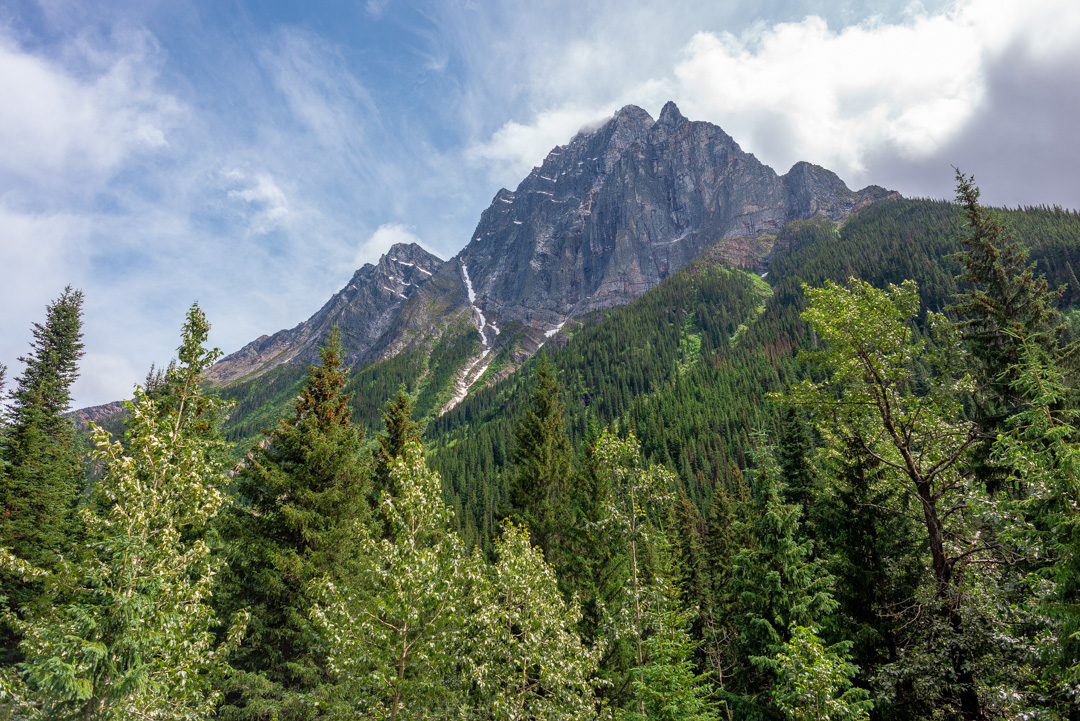 The views along the trans-Canada Highway near Revelstoke