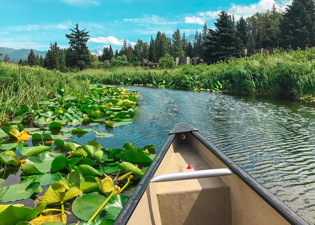Kayaking down the River of Golden Dreams