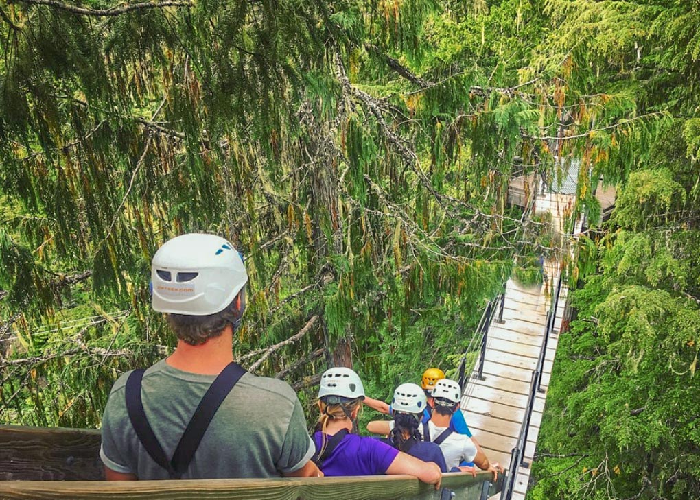 Treetop Canopy walk in Whistler