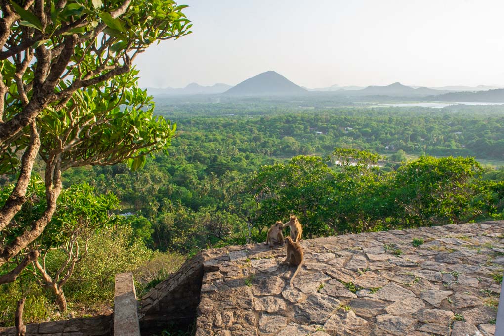 money at the Dambulla Cave Temples
