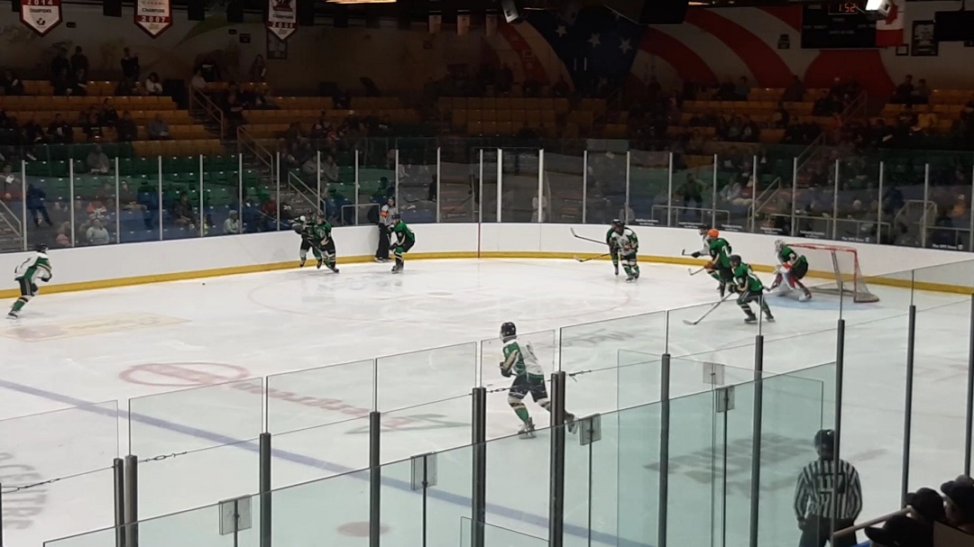 A hockey game Sakstoon