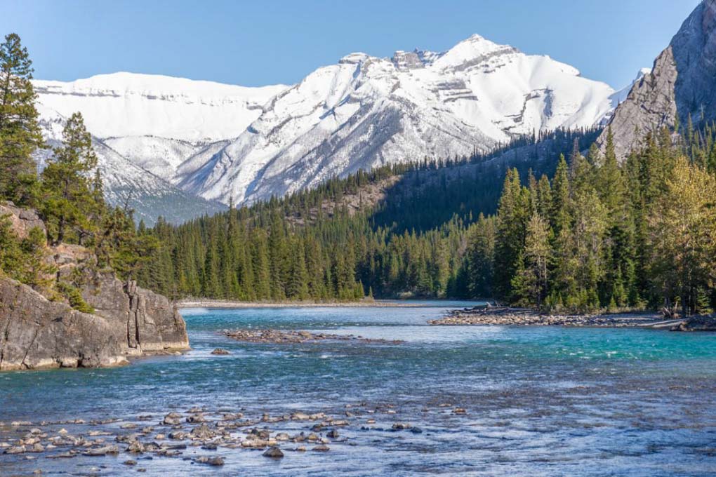 The Bow River from the Bow Falls Viewpoint