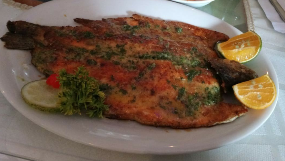 trout in salento colombia