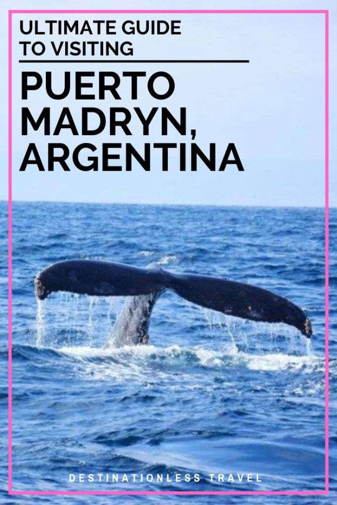 puerto madryn pinterest image