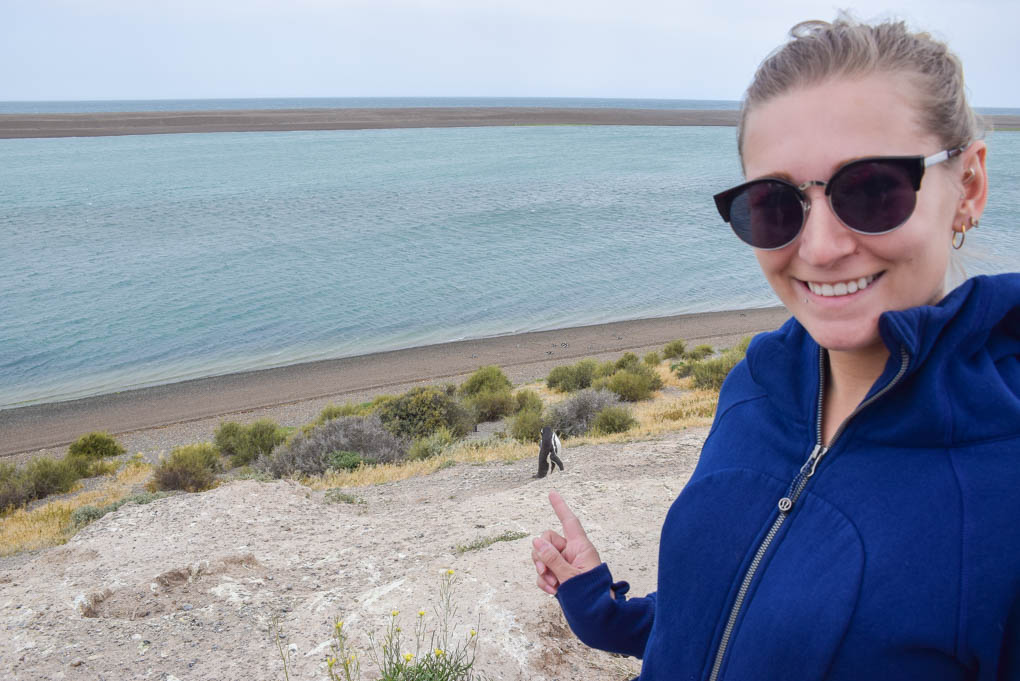 selfie with a magellanic penguin