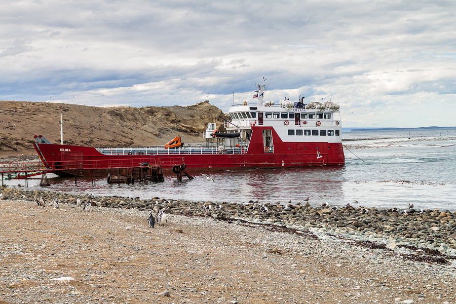 ferry to isla magdalena from punta arenas