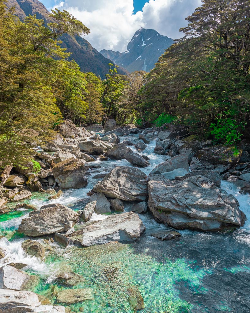 View on the Routeburn track