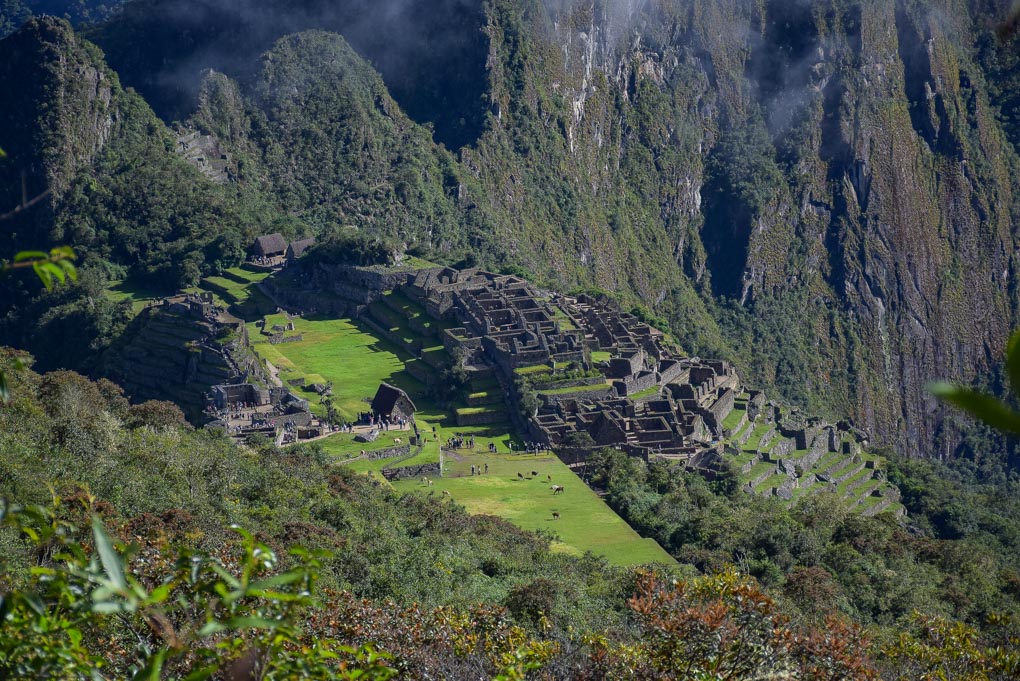 A zoomed in shot of Machu Picchu from Machu Picchu Mountain