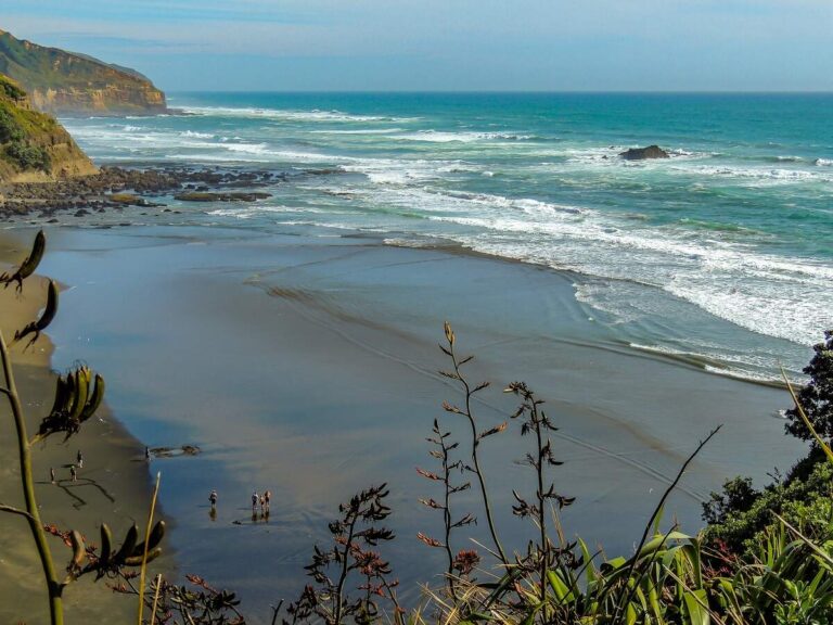 view of Musiwai Beach from above. Black sand beach with green vegetation around it.