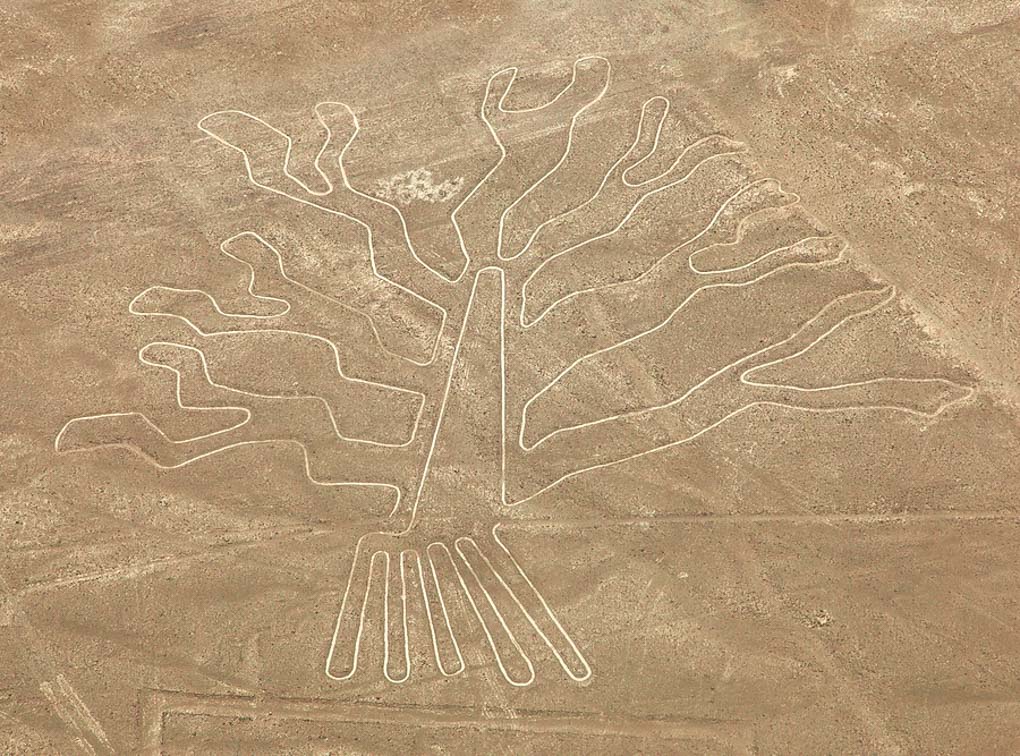 The Nazca Lines on a tour from Lima