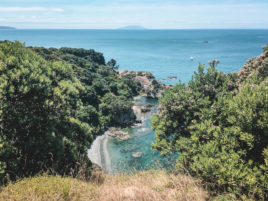 Tiritiri Matangi wildlife sanctuary near Auckland, New Zealand
