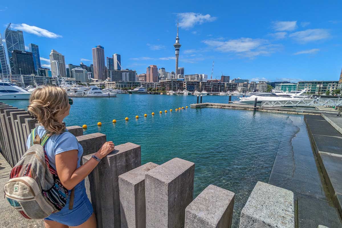 Bailey enjoys the views of Auckland from the water on a summers day