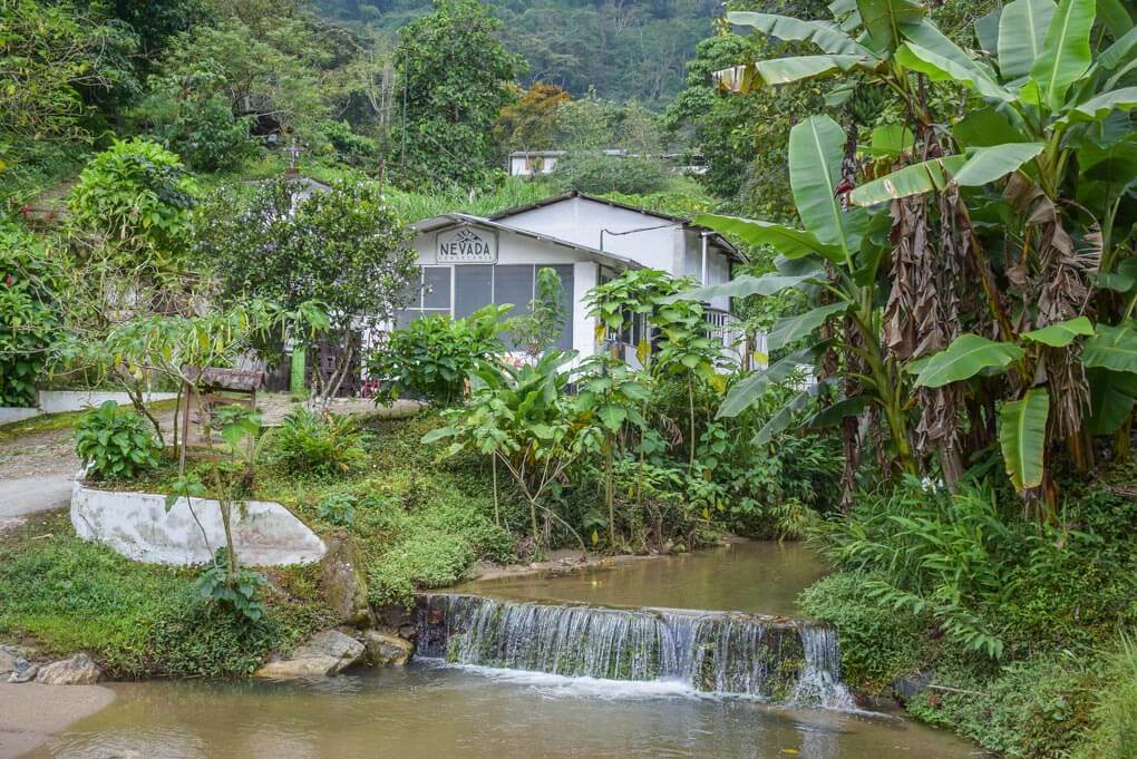 La Victoria Coffee farm, Minca