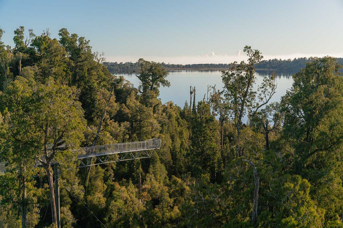 West Coast Treetop Walk 
