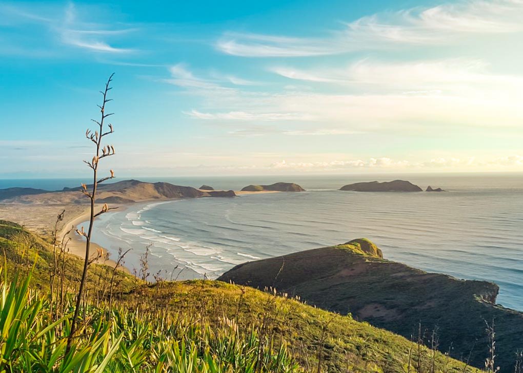 Views at the cape Regina Lighthouse in New Zealand