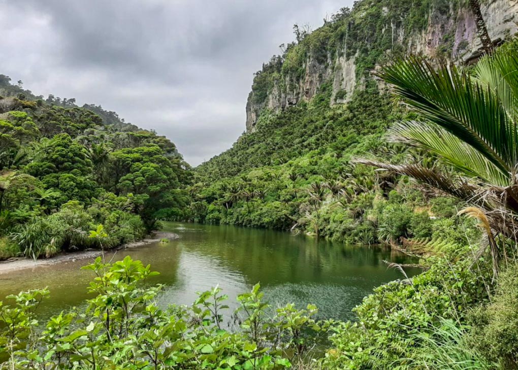 Views from the Pororari River Track, New Zealand