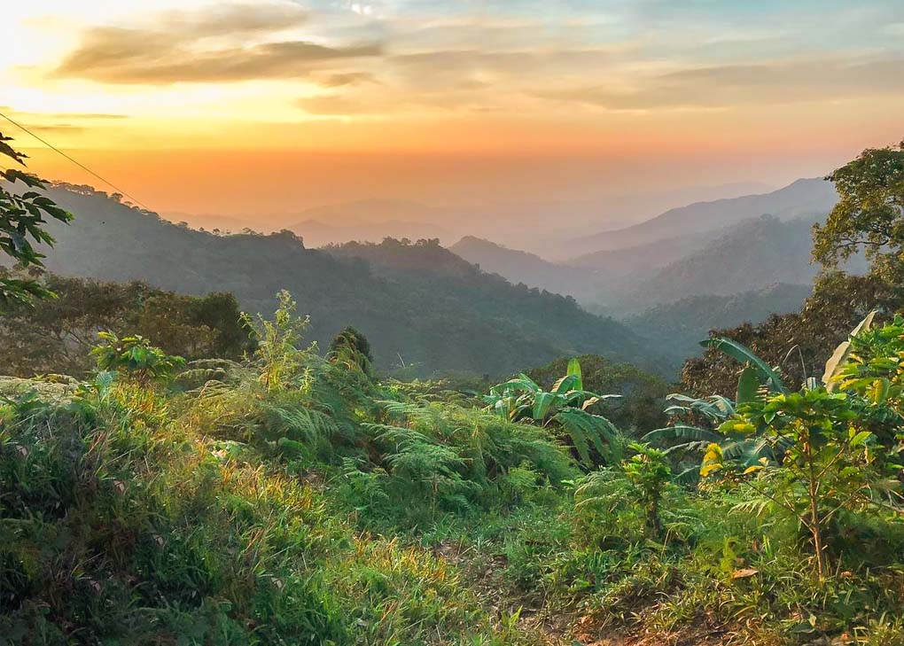 Sunset from the sunset hike at Casa Viejas, Minca