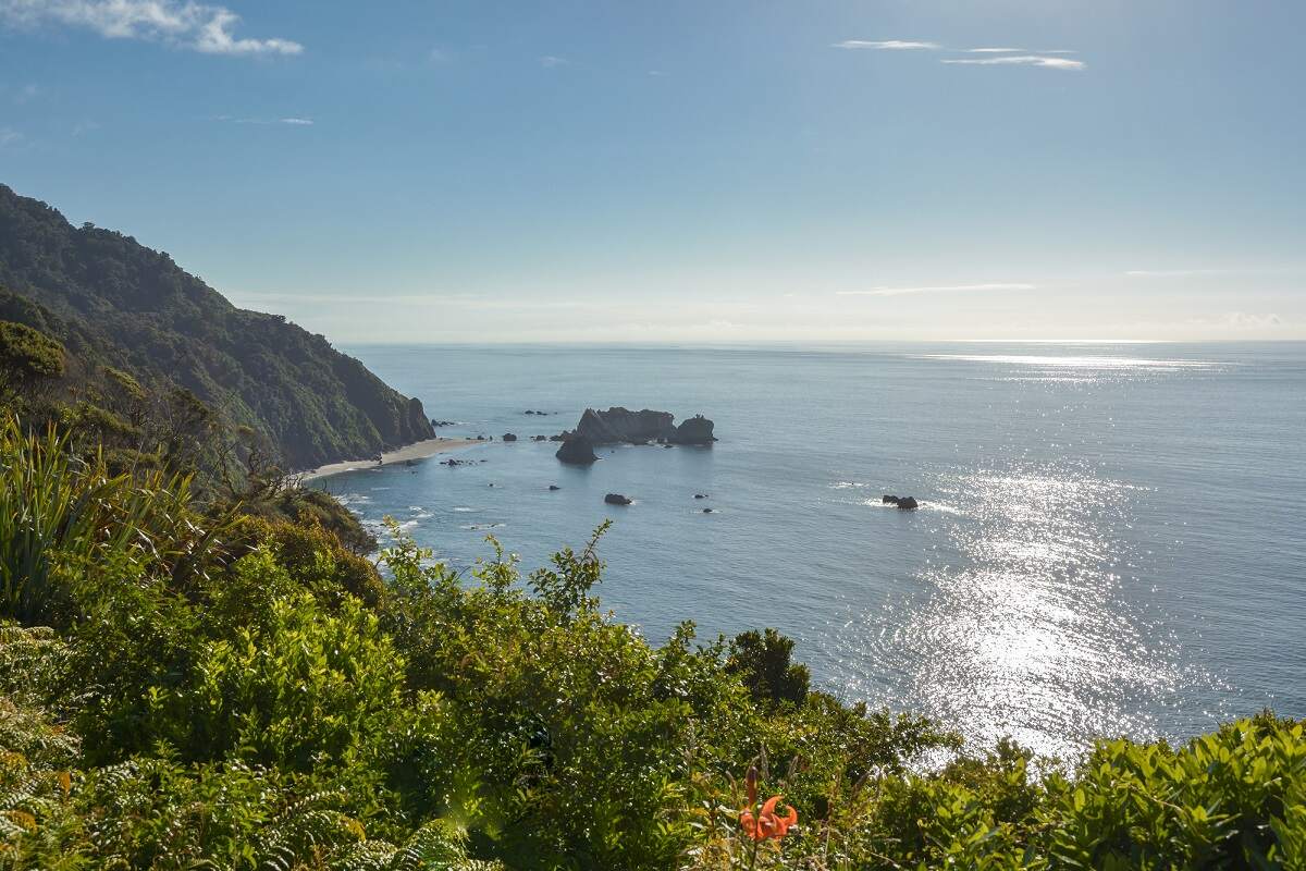 view over the ocean at Knights Point Lookout