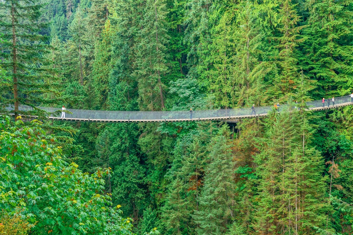 View of the Capilano Suspension Bridge in Vancouver, Canada