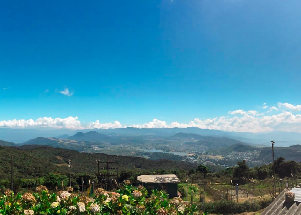 The view from Pidurutalagala