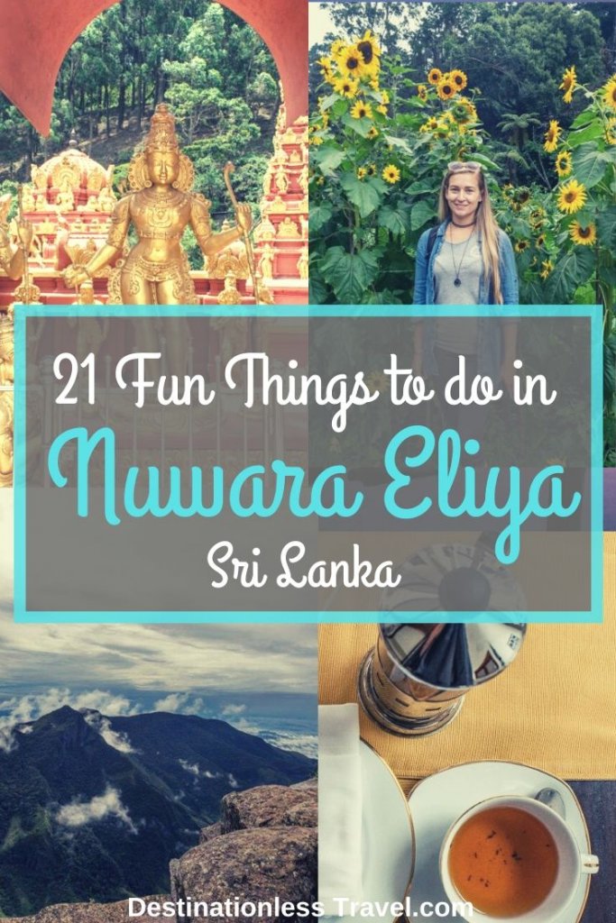 things to do in nuwara eliya pinterest image