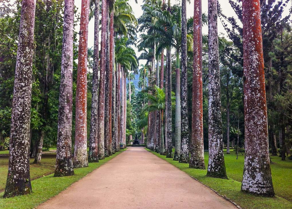 Jardim Botanico in Rio de Janeiro, Brazil