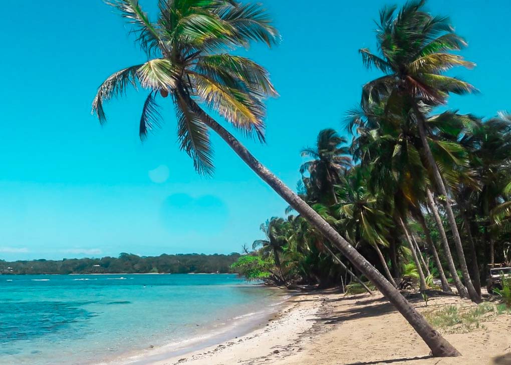 Drago Beach, Bocas del Toro