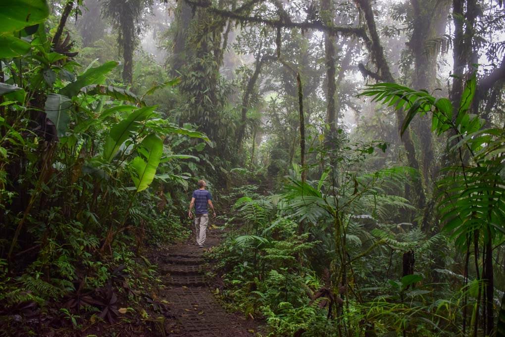 Daniel walks through the Monteverde Cloud Forest Reserve in Monteverde, Costa Rica