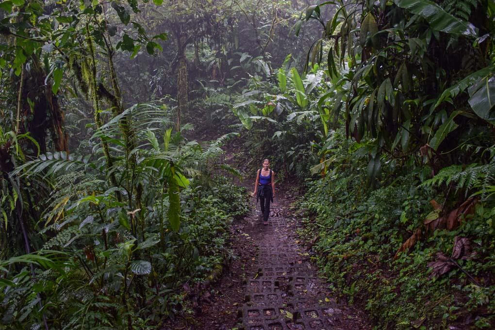 Bailey walks through the Monteverde Cloud Forest reserve in Costa Rica