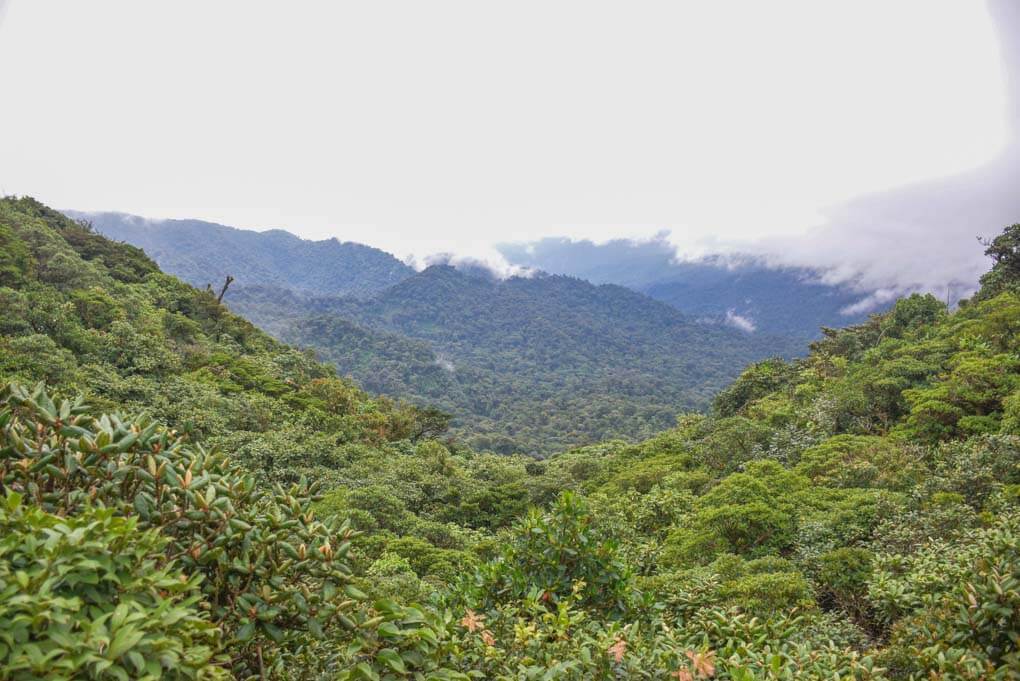 Views on the Santa Elena Cloud Forest Reserve from a viewpoint in the park!