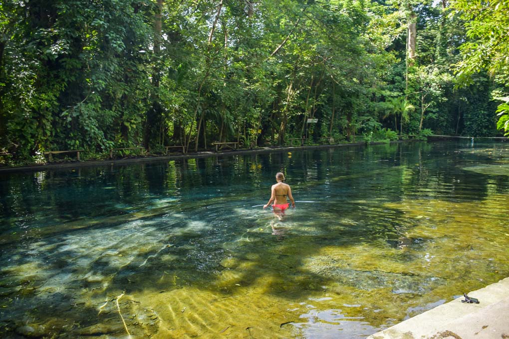 Bailey swimming at Ojo de Agua, Ometepe!