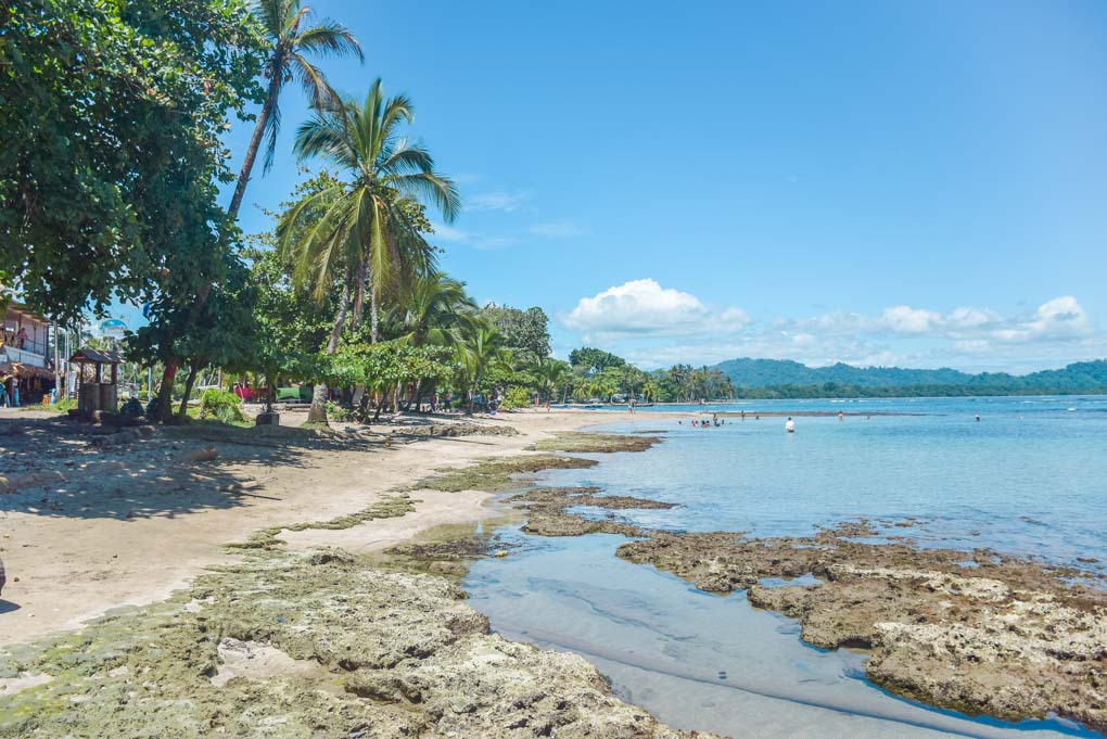 Playa cocles beach in puerto viejo