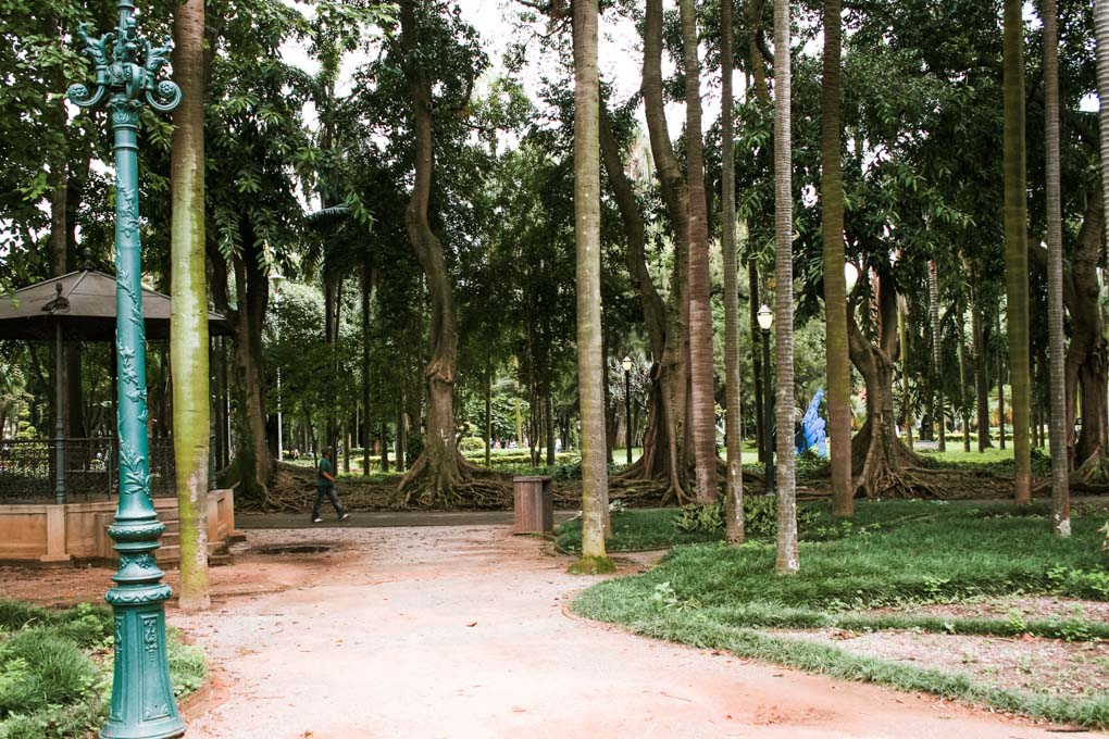 Jardim da Luz or Luz Garden in Sao Paulo