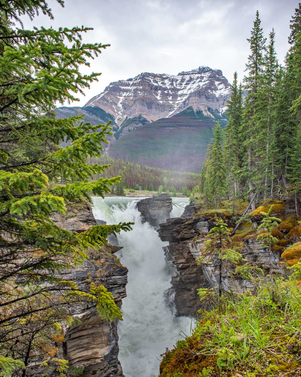 Athabasca Falls with a mountain backdrop on the Icefields Parkway