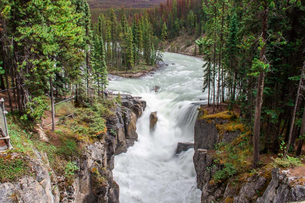Sunwapta Falls on the Icefields Parkway in Jasper National park